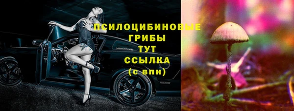 гашик Вяземский
