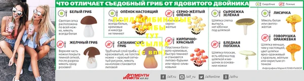 гидра Вязьма