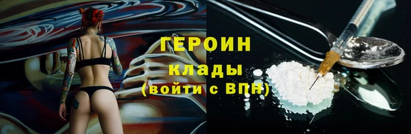 гашик Вяземский