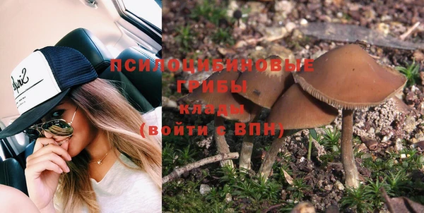 гидра Вязьма