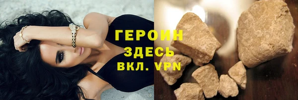 гидра Вязьма