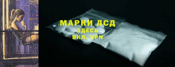 гидра Вязьма