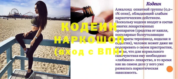 гидра Вязьма