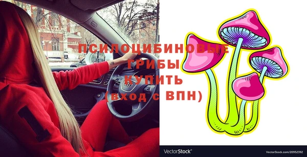гидра Вязьма