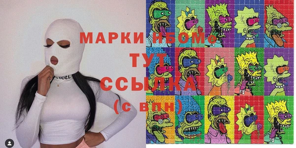 гашик Вяземский