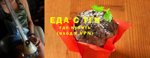 гашик Вяземский