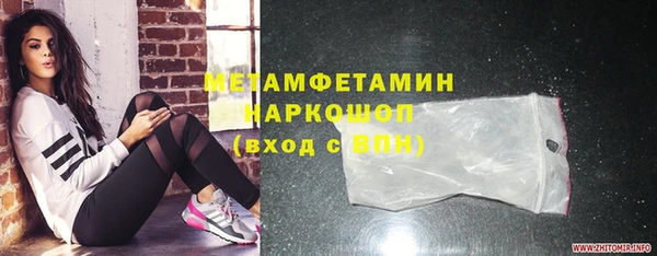 гидра Вязьма