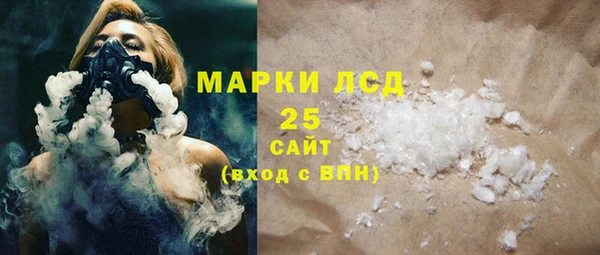 гашик Вяземский
