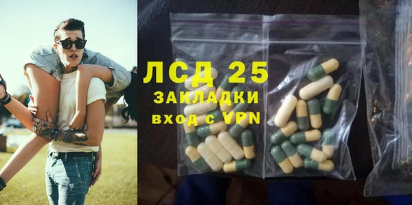 гидра Вязьма