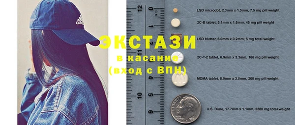 гашик Вяземский